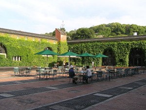 1280px-Courtyard_at_ivy_square[1]