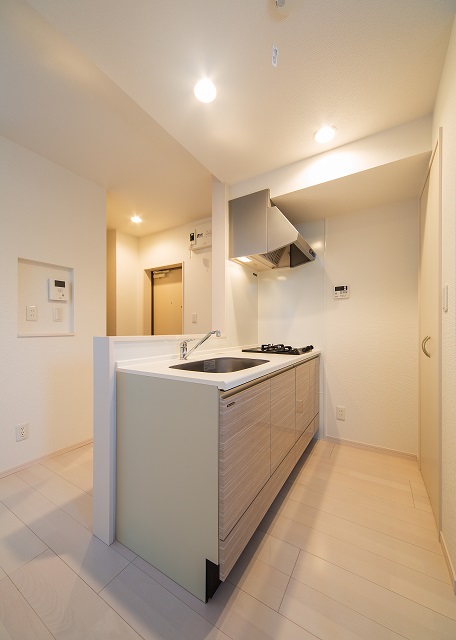 投資アパート Lapis nouveau K、Q19